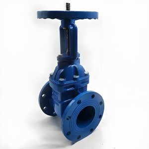 手動閘閥Z41T-16 DN50/DN65廠家直銷，上海發